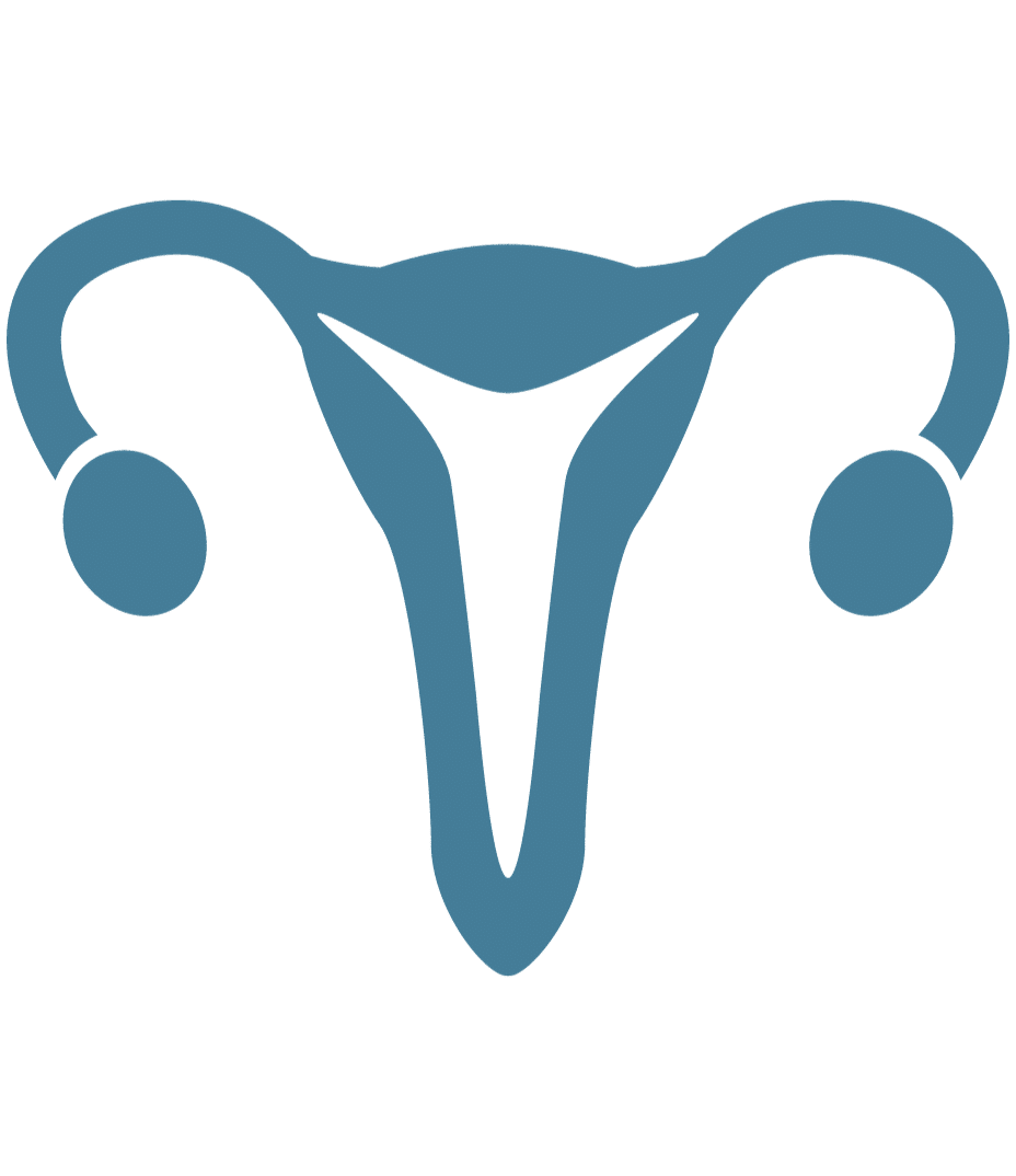 menstrual cycle