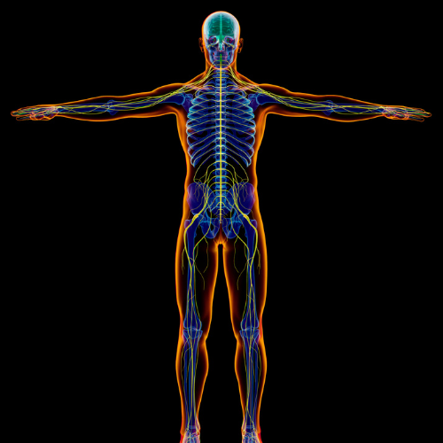 How The Spero Clinic Treats Neurological Dysfunction